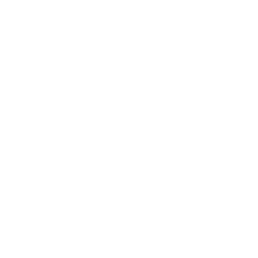 Noisyle LOGO