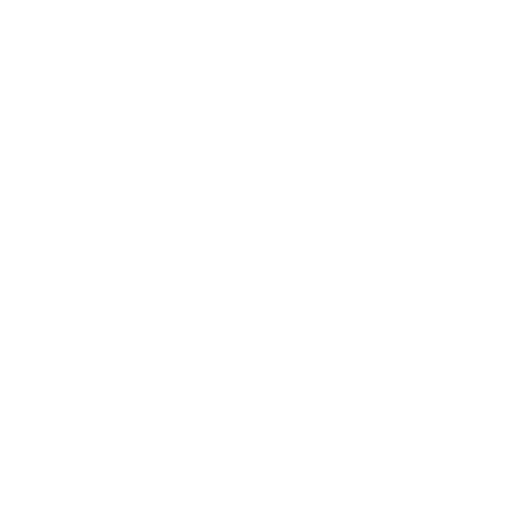 Noisyle LOGO